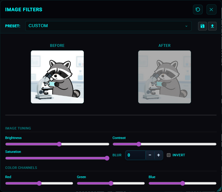 Image Filters modal with Before/After previews (image maze loaded).